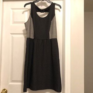 The Limited Black and White Dress